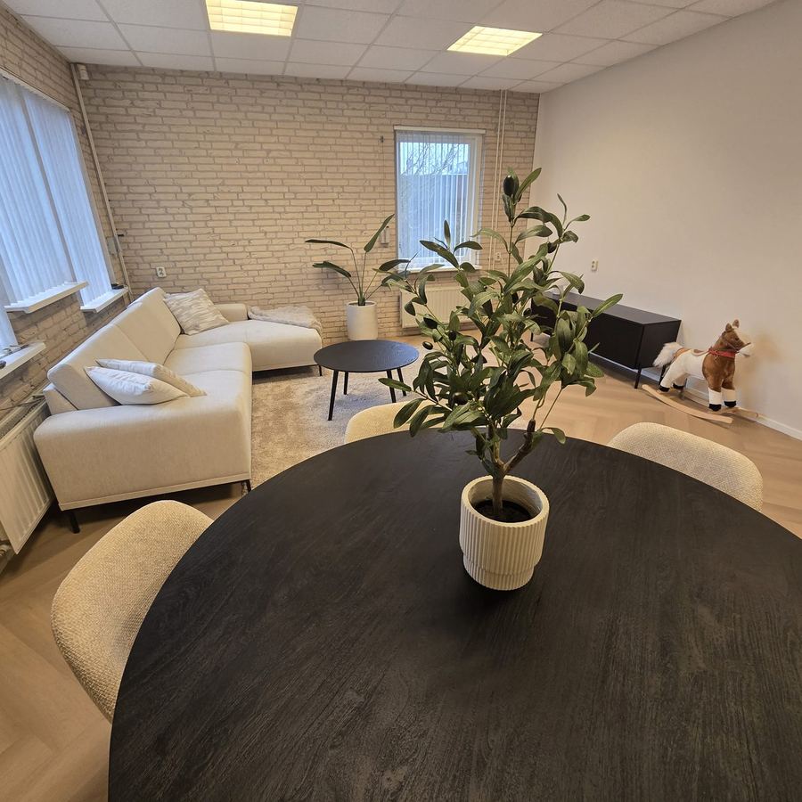 Dezelfde ruimte vanaf de andere kant: bank met kussens, salontafel, dressoir en een hobbelpaard.